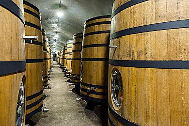 XGP十一月下旬新增游戏阵容 《潜行者2》等